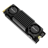 Pny Technologies 2