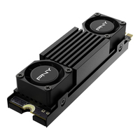 Pny Technologies 4