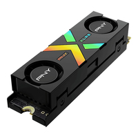 Pny Technologies 3