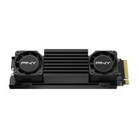 Pny Technologies 1
