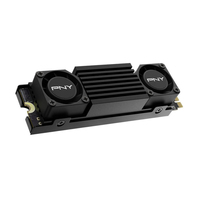 Pny Technologies 3