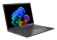 Acer 1