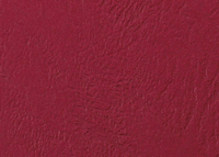 Copertine Per Rilegatura 1