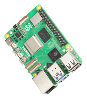 Raspberry 9