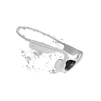 Shokz 10