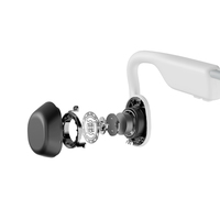 Shokz 11