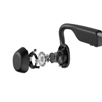 Shokz 11