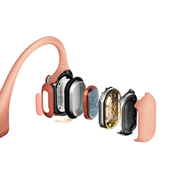 Shokz 12