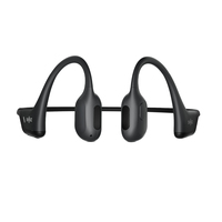 Shokz 10