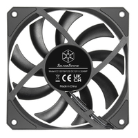 Silverstone Technology 5