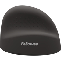 Fellowes 2