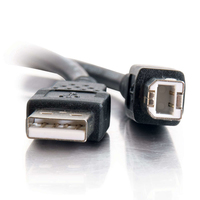 Cables To Go 4