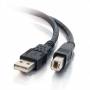 Cables To Go - C2G - USB-Kabel - USB (M) - bis - USB Typ B, 4-polig (M) - 2,0m (USB/USB2.0) - Schwarz (81566)