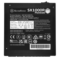 Silverstone Technology 10