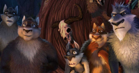 Dvd 4