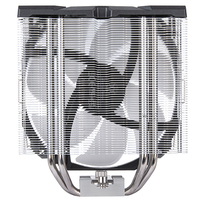 Silverstone Technology 10