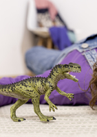 Schleich Gmbh 10