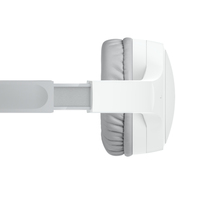 Belkin 20