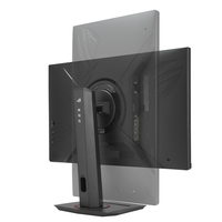 Asus 2