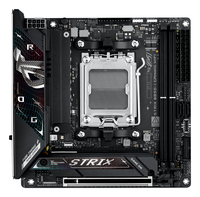 Asus 11