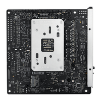 Asus 19