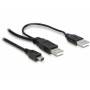 Delock - DELOCK USB Y-Kabel 2x A -> Mini-B St/St 1.00m