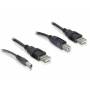 Delock - DeLOCK - Stromkabelkit - USB Typ A, 4-polig (M) - USB Typ B, 4-polig, Gleichstromstecker 2,1 mm (M) - 30 cm (82461)