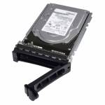 Dell - Dell - Festplatte - 2TB - intern - 3.5 (8,9 cm) - SAS 12Gb/s - nearline - 7200 U/min - Puffer: 256MB - f�r PowerEdge T330 