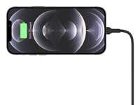 Belkin 4