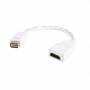 Startech - StarTech.com 适用于 Macbook 和 iMac 的 Mini DVI 转 HDMI 视频适配器-St/ Bu-视频连接器-HDMI/DVI-mini-DVI（[德语版，德语
