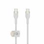 Belkin 1