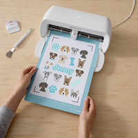 Cricut 3
