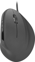 Speedlink 1
