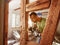 Bosch Home And Garden 3