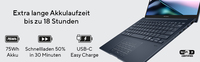 Asus 2