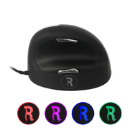 R-go 3