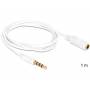 Delock - DeLOCK 3.5mm 1m 1m 3.5mm 3.5mm White audio cable
