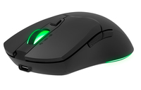 Speedlink 2
