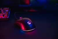 Speedlink 7
