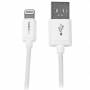 Startech - Startech.com 1m 8 Pin Lightning Connector To Usb Cable For Apple Ipad/iphone/ipod - White