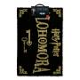 Harry Potter -Alohomora (zerbino) - Harry Potter alohomora Door Mat