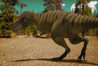 Koch Media 3