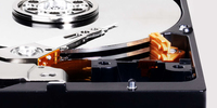 Western Digital