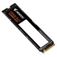 Gigabyte 2