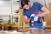 Bosch Powertools 6