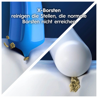 Braun 1