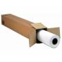 Epson - Premium Semigloss Photo Paper (170) - Seidenmattfotopapier - Rolle (152,4 cm x 30,5 m) - 1 Rolle(n) (C13S042137)