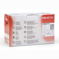 Salicru 4