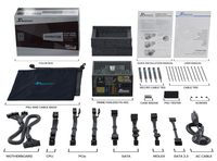 Sea Sonic 9