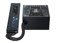 Sea Sonic 5
